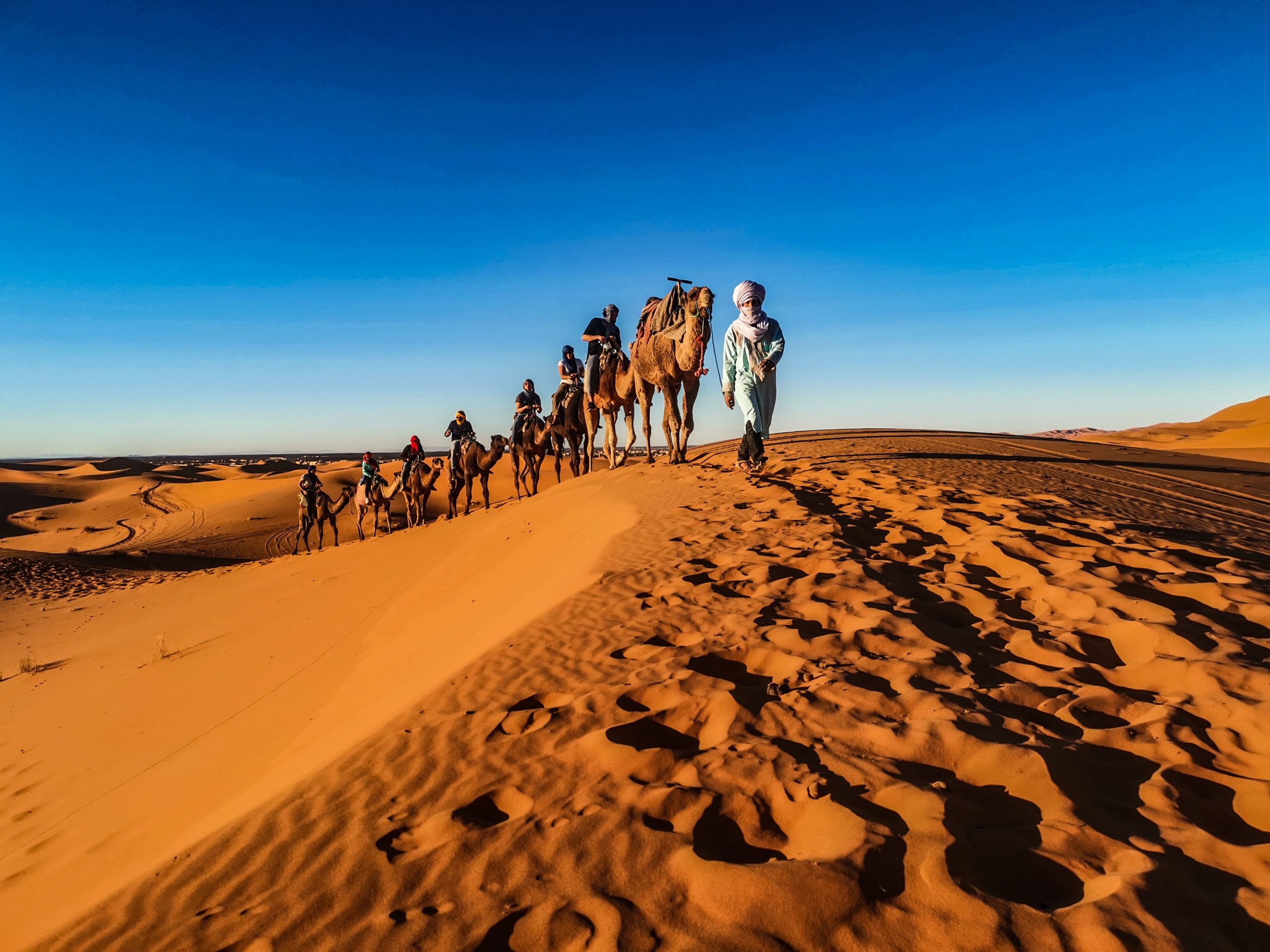 desert camel trek